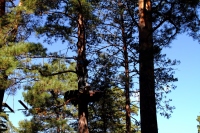 ����� 2015 ������� ����� www.samoilik.ru ������� ��������