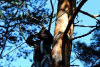 ����� 2015 ������� ����� www.samoilik.ru ������� ��������