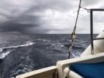 ������� ���������  ���������� 2019 ������� �������� samoilik.ru