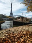 ������� ���������  ���������� 2019 ������� �������� samoilik.ru