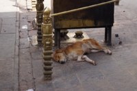 Himalaya 2012 Katmandu-Lhasa Bike tour samoilik.ru ������� ��������