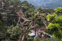 Himalaya 2012 Katmandu-Lhasa Bike tour samoilik.ru ������� ��������