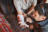 Himalaya 2012 Katmandu-Lhasa Bike tour samoilik.ru ������� ��������