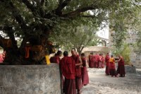 Himalaya 2012 Katmandu-Lhasa Bike tour samoilik.ru ������� ��������