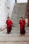 Himalaya 2012 Katmandu-Lhasa Bike tour samoilik.ru ������� ��������