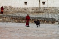 Himalaya 2012 Katmandu-Lhasa Bike tour samoilik.ru ������� ��������