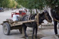 Himalaya 2012 Katmandu-Lhasa Bike tour samoilik.ru ������� ��������