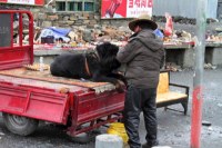 Himalaya 2012 Katmandu-Lhasa Bike tour samoilik.ru ������� ��������