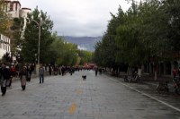 Himalaya 2012 Katmandu-Lhasa Bike tour samoilik.ru ������� ��������