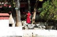 Himalaya 2012 Katmandu-Lhasa Bike tour samoilik.ru ������� ��������