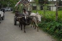 Himalaya 2012 Katmandu-Lhasa Bike tour samoilik.ru ������� ��������