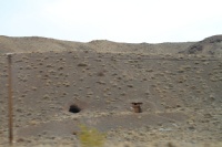 Iran 2013 ���� www.samoilik.ru ������� ��������