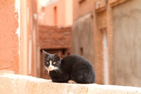 Iran 2013 ���� www.samoilik.ru ������� ��������