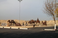 Iran 2013 ���� www.samoilik.ru ������� ��������