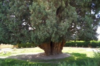 Iran 2013 ���� www.samoilik.ru ������� ��������