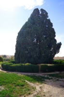 Iran 2013 ���� www.samoilik.ru ������� ��������