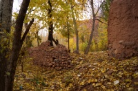 Iran 2013 ���� www.samoilik.ru ������� ��������