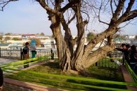 Iran 2013 ���� www.samoilik.ru ������� ��������