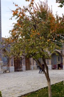 Iran 2013 ���� www.samoilik.ru ������� ��������