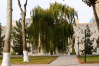 Iran 2013 ���� www.samoilik.ru ������� ��������