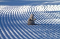 ����������� 2015 ��� �������� � �������� ������ � �������� : Scandinavia 2015 Nordkapp & Aurora Borealis in Norway : www.samoilik.ru ������� ��������