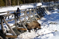 ����������� 2015 ��� �������� � �������� ������ � �������� : Scandinavia 2015 Nordkapp & Aurora Borealis in Norway : www.samoilik.ru ������� ��������