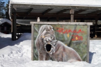 ����������� 2015 ��� �������� � �������� ������ � �������� : Scandinavia 2015 Nordkapp & Aurora Borealis in Norway : www.samoilik.ru ������� ��������