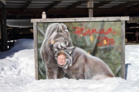 ����������� 2015 ��� �������� � �������� ������ � �������� : Scandinavia 2015 Nordkapp & Aurora Borealis in Norway : www.samoilik.ru ������� ��������