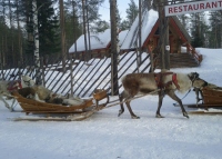 ����������� 2015 ��� �������� � �������� ������ � �������� : Scandinavia 2015 Nordkapp & Aurora Borealis in Norway : www.samoilik.ru ������� ��������