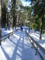 ����������� 2015 ��� �������� � �������� ������ � �������� : Scandinavia 2015 Nordkapp & Aurora Borealis in Norway : www.samoilik.ru ������� ��������