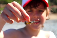 ������������ �� ��������������� 2014 Mediterranen Katamaraning www.samoilik.ru ������� ��������