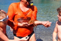 ������������ �� ��������������� 2014 Mediterranen Katamaraning www.samoilik.ru ������� ��������