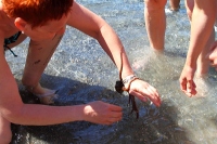 ������������ �� ��������������� 2014 Mediterranen Katamaraning www.samoilik.ru ������� ��������
