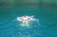 ������������ �� ��������������� 2014 Mediterranen Katamaraning www.samoilik.ru ������� ��������