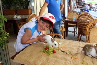 ������������ �� ��������������� 2014 Mediterranen Katamaraning www.samoilik.ru ������� ��������