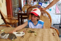 ������������ �� ��������������� 2014 Mediterranen Katamaraning www.samoilik.ru ������� ��������