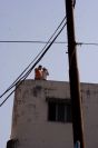 ����� 2010 ������ ����. ������� ��������.