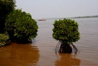 ����� 2010 ������ ����. ������� ��������.